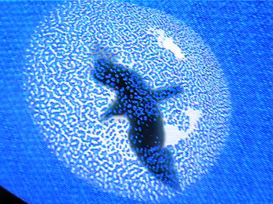 INDICTUS - still pictures 8