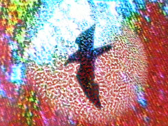 INDICTUS - still pictures 9