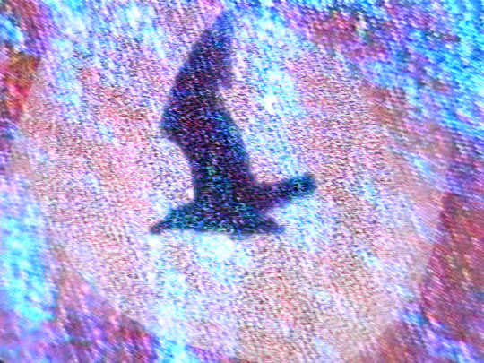 INDICTUS - still pictures 11