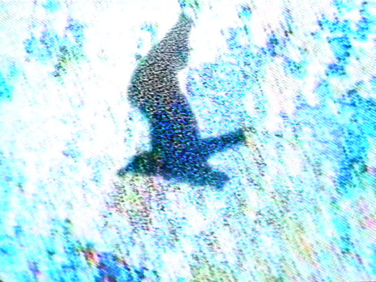 INDICTUS - still pictures 12